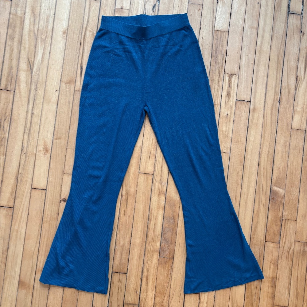 Victor Glemaud x target teal pants size medium